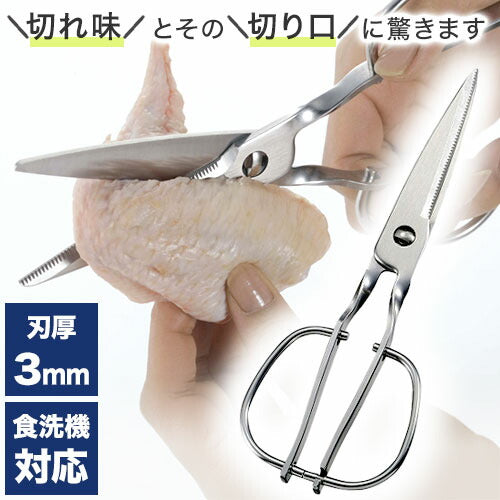 【正規品】鳥部製作所 キッチンスパッター 日本製 オールステンレス キッチンバサミ キッチンハサミ 料理ハサミ 食洗機対応 燕三条 正規品(代引不可)【メール便】