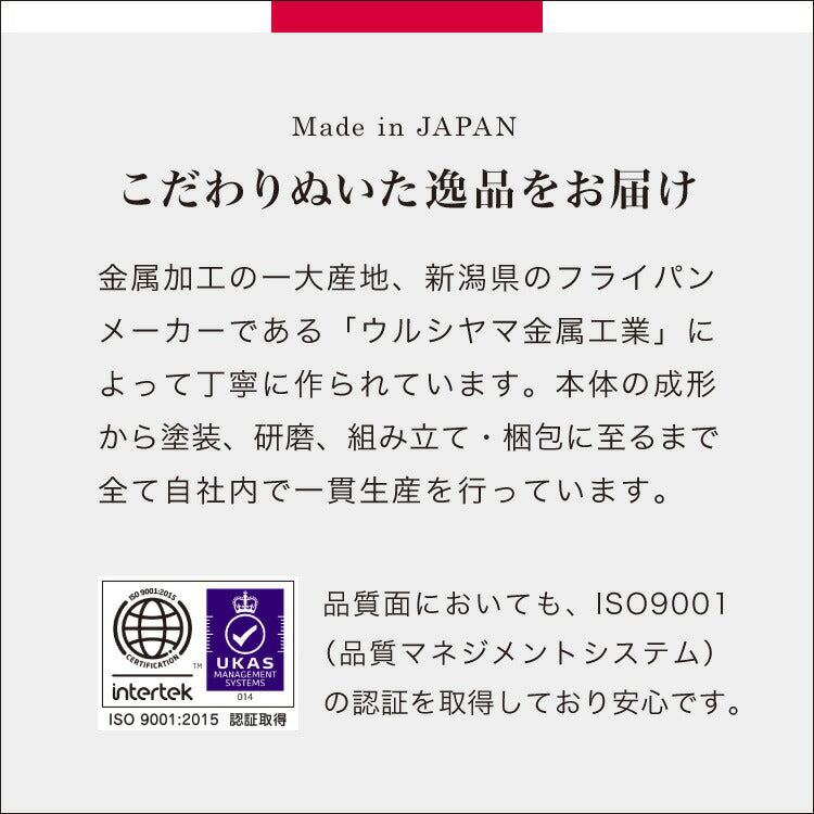 【ステンレス蓋セット】日本製 ウルシヤマ謹製 エッグパン 19×14cm IH対応 玉子焼き 卵焼き フライパン フタ付き ガス火 IH お弁当作りに 藤井弁当 国産 PFOAフリー ウルシヤマ金属 UMIC