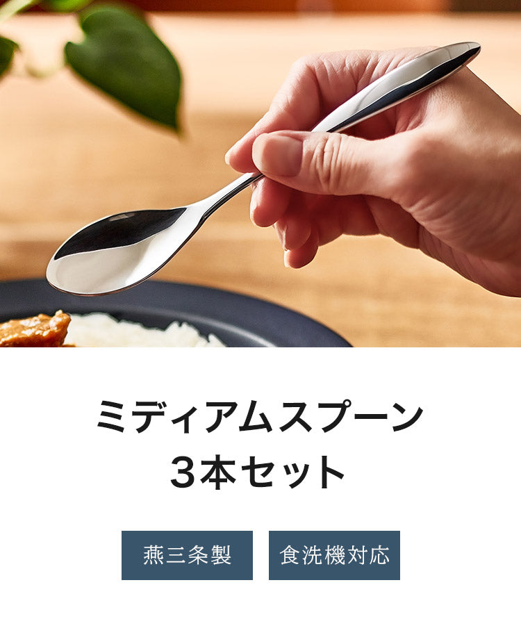 日本製 燕三条 ミディアムスプーン 3本セット 食洗機対応 ステンレス TSUBAME カトラリー セット 3本組 スプーン カレースプーン デザートスプーン(代引不可)