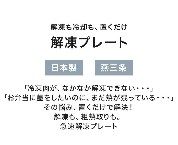 【ドリップが落ちる穴あき・バット付き】解凍プレート 日本製 燕三条 パンチング加工 トレー付き 解凍皿 解凍トレー 粗熱取り プレート 解凍まな板 自然解凍 冷凍食品