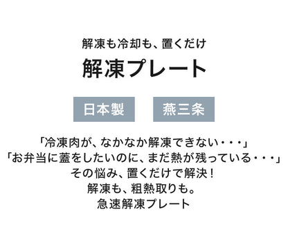 【ドリップが落ちる穴あき・バット付き】解凍プレート 日本製 燕三条 パンチング加工 トレー付き 解凍皿 解凍トレー 粗熱取り プレート 解凍まな板 自然解凍 冷凍食品