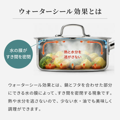 日本製 燕三条 ステンレス3層 両手鍋 22cm IH対応 蓋付き 全面鏡面仕上げ ガス火OK アルミクラッド 三層鋼 鍋 フッ素不使用 SUS304 ステンレス製 フライパン シモリュウ プラジュール