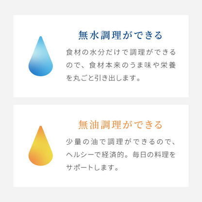 日本製 燕三条 ステンレス3層 両手鍋 22cm IH対応 蓋付き 全面鏡面仕上げ ガス火OK アルミクラッド 三層鋼 鍋 フッ素不使用 SUS304 ステンレス製 フライパン シモリュウ プラジュール