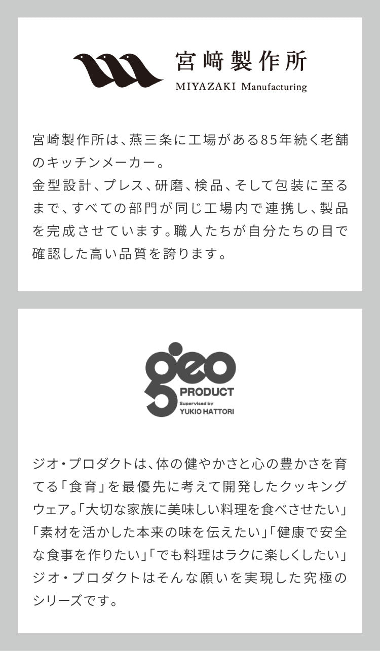 ジオ・プロダクト 日本製 パスタポット 21cm GEO-21P パスタ鍋 ガス火・IH対応 オーブン可 GEO ジオ 服部幸應先生 国産 宮崎製作所 Miyaco ジオプロダクト(代引不可)