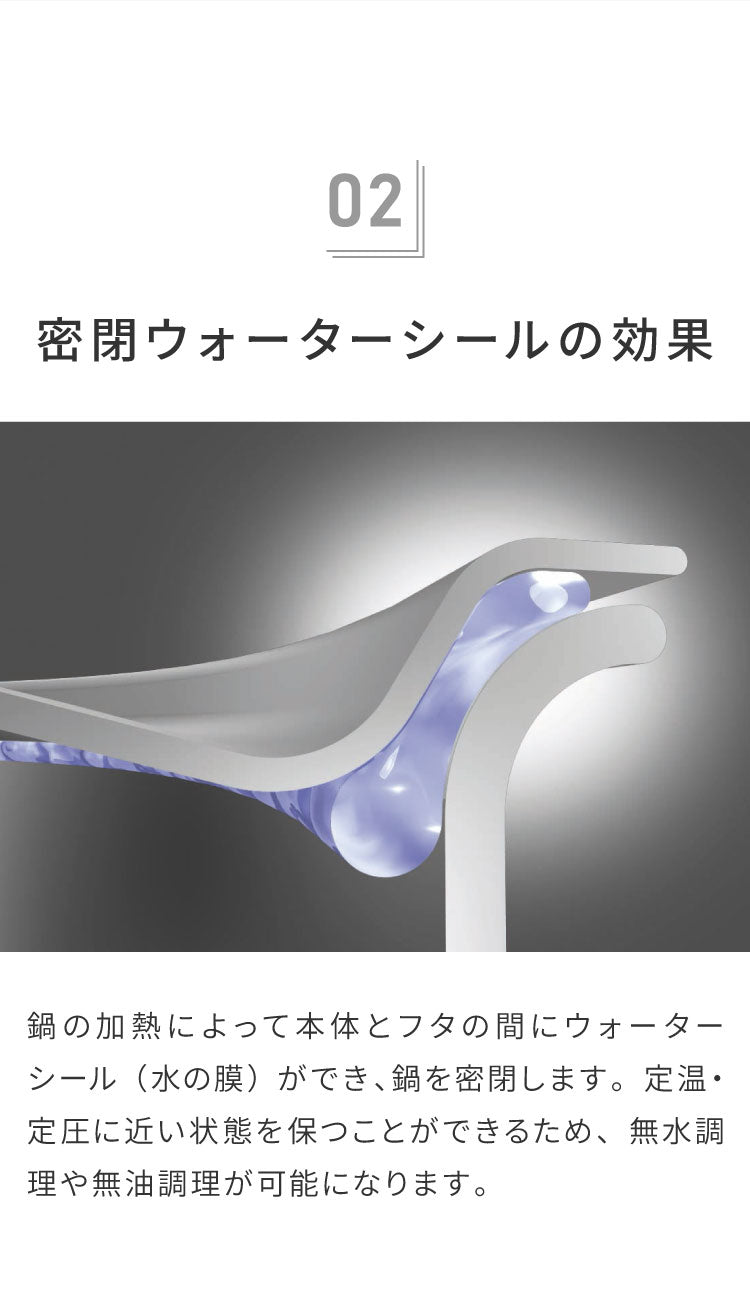 ジオ・プロダクト 日本製 パスタポット 21cm GEO-21P パスタ鍋 ガス火・IH対応 オーブン可 GEO ジオ 服部幸應先生 国産 宮崎製作所 Miyaco ジオプロダクト(代引不可)