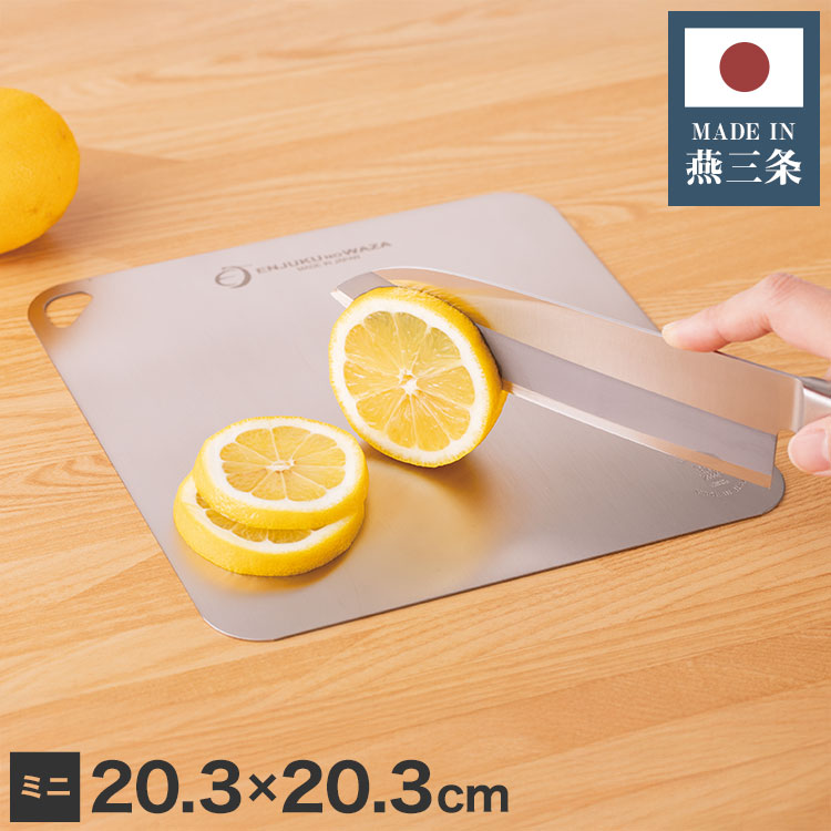 日本製 燕三条 チタンまな板 純チタン チタン製 まな板 ミニ 20.3×20.3cm 厚さ0.5mm カッティングボード 吊り下げ可能 軽い お手入れ簡単 におい移りなし 錆びにくい 清潔 キャンプ アウトドア(代引不可)【メール便配送】