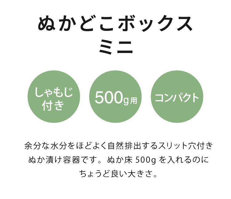 オークス レイエ ぬかどこボックス ミニ ぬか床500g用 水抜きスリット穴付き ぬか漬け容器 専用しゃもじ付き 漬け物 漬物 保存容器 ぬか床ボックス ぬか漬けボックス ぬか漬けポット LES3251 AUX leye